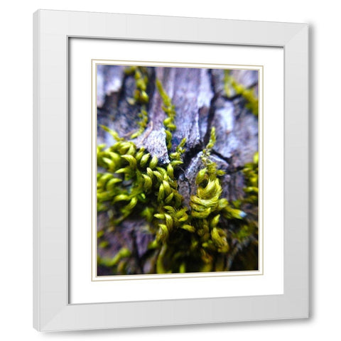 Bark Hair I White Modern Wood Framed Art Print with Double Matting by Grayscale