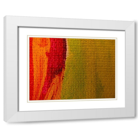 Canvas Closeup I White Modern Wood Framed Art Print with Double Matting by Grayscale