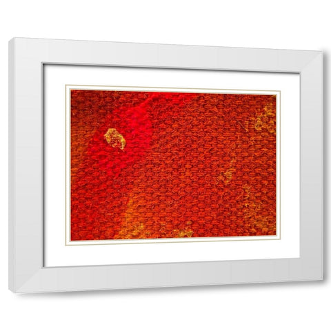 Canvas Closeup III White Modern Wood Framed Art Print with Double Matting by Grayscale