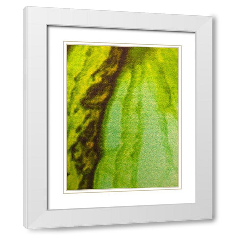 Canvas Closeup V White Modern Wood Framed Art Print with Double Matting by Grayscale