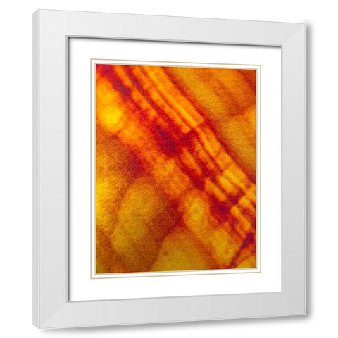 Canvas Closeup VI White Modern Wood Framed Art Print with Double Matting by Grayscale