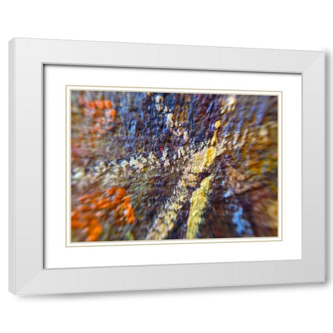 Paint Closeup IX White Modern Wood Framed Art Print with Double Matting by Grayscale