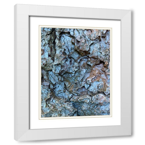 Bark Scales I White Modern Wood Framed Art Print with Double Matting by Grayscale