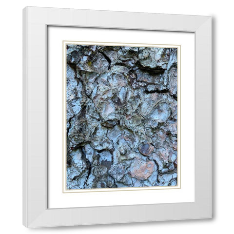 Bark Scales II White Modern Wood Framed Art Print with Double Matting by Grayscale