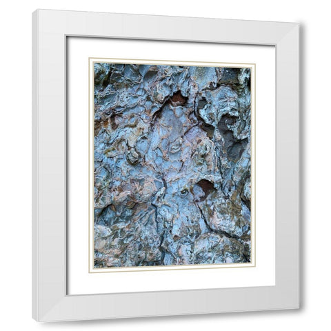 Bark Scales III White Modern Wood Framed Art Print with Double Matting by Grayscale