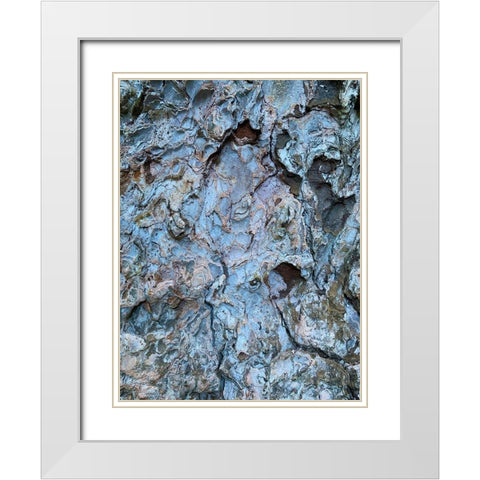 Bark Scales III White Modern Wood Framed Art Print with Double Matting by Grayscale