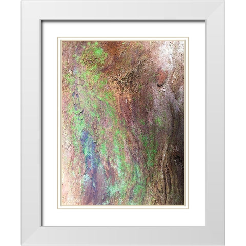 Bark and Moss III White Modern Wood Framed Art Print with Double Matting by Grayscale