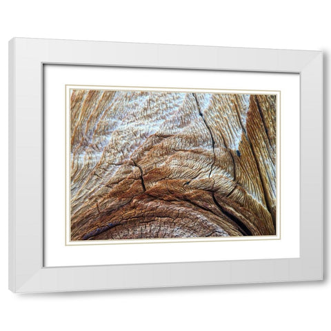 Bark Arc I White Modern Wood Framed Art Print with Double Matting by Grayscale