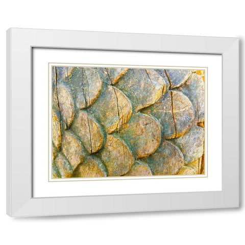 Wooden Scales I White Modern Wood Framed Art Print with Double Matting by Grayscale