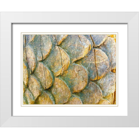 Wooden Scales I White Modern Wood Framed Art Print with Double Matting by Grayscale