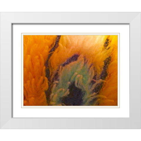Orange Furry II White Modern Wood Framed Art Print with Double Matting by Grayscale