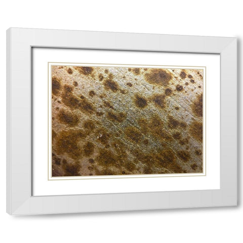 Silver Texture I White Modern Wood Framed Art Print with Double Matting by Grayscale