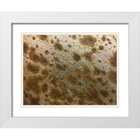 Silver Texture I White Modern Wood Framed Art Print with Double Matting by Grayscale