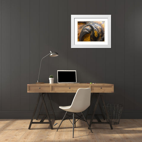 Wood Texture IV White Modern Wood Framed Art Print with Double Matting by Grayscale