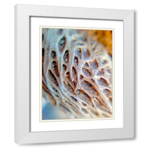 Fibers I White Modern Wood Framed Art Print with Double Matting by Grayscale
