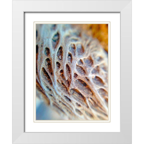 Fibers I White Modern Wood Framed Art Print with Double Matting by Grayscale