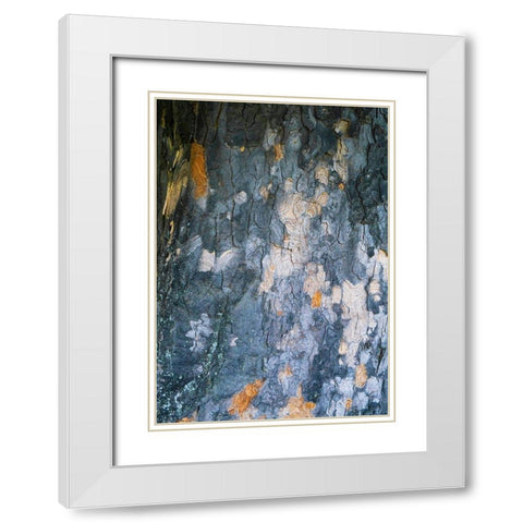 Bark Scales IV White Modern Wood Framed Art Print with Double Matting by Grayscale