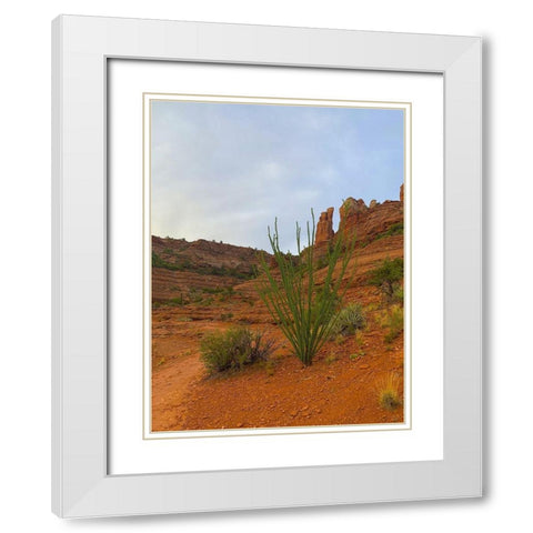 Sedona I White Modern Wood Framed Art Print with Double Matting by Grayscale