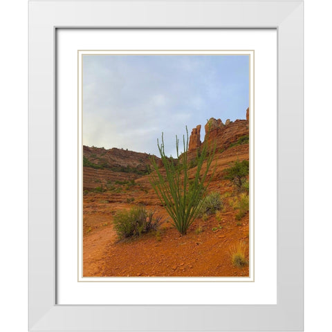Sedona I White Modern Wood Framed Art Print with Double Matting by Grayscale