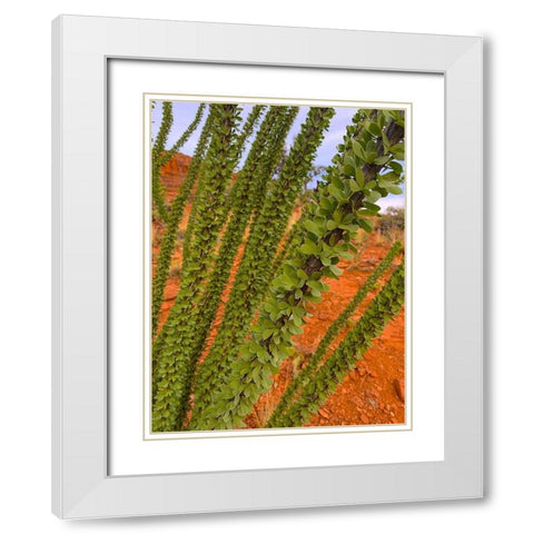Sedona III White Modern Wood Framed Art Print with Double Matting by Grayscale