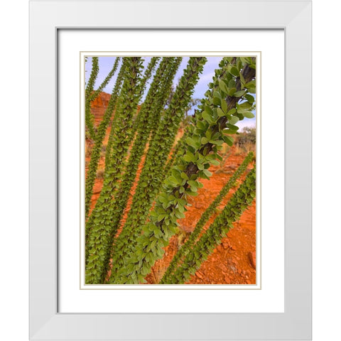 Sedona III White Modern Wood Framed Art Print with Double Matting by Grayscale