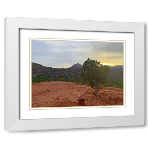 Sedona IV White Modern Wood Framed Art Print with Double Matting by Grayscale