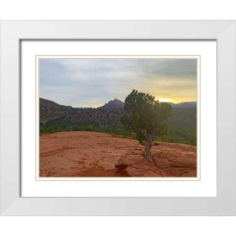 Sedona IV White Modern Wood Framed Art Print with Double Matting by Grayscale