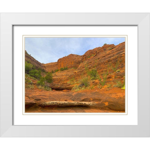 Sedona V White Modern Wood Framed Art Print with Double Matting by Grayscale