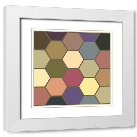 Soft Hive VIII White Modern Wood Framed Art Print with Double Matting by Grayscale