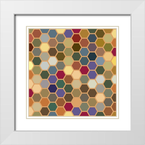 Small Hive I White Modern Wood Framed Art Print with Double Matting by Grayscale
