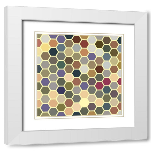Small Hive III White Modern Wood Framed Art Print with Double Matting by Grayscale