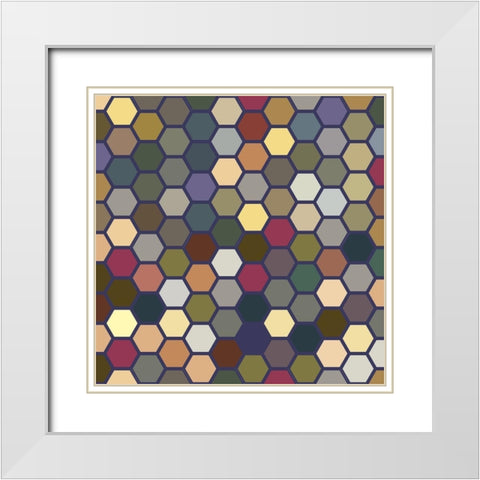 Small Hive IV White Modern Wood Framed Art Print with Double Matting by Grayscale
