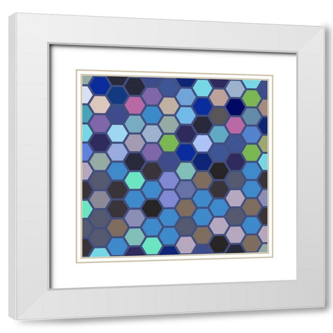 Small Hive VIII White Modern Wood Framed Art Print with Double Matting by Grayscale