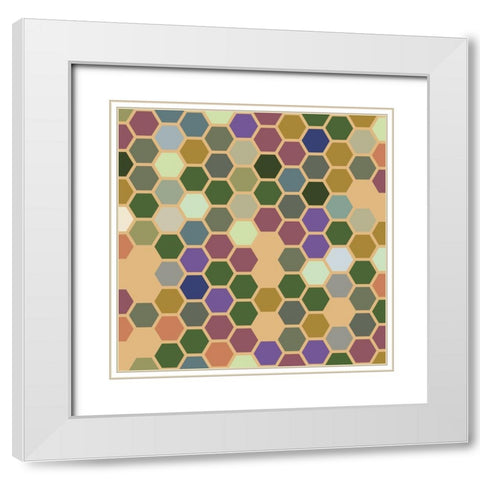 Small Hive IX White Modern Wood Framed Art Print with Double Matting by Grayscale