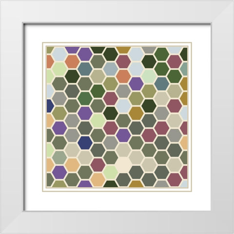 Small Hive XI White Modern Wood Framed Art Print with Double Matting by Grayscale