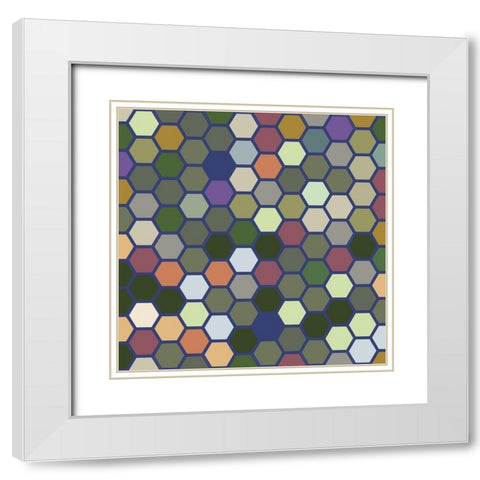 Small Hive XII White Modern Wood Framed Art Print with Double Matting by Grayscale