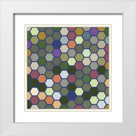 Small Hive XII White Modern Wood Framed Art Print with Double Matting by Grayscale