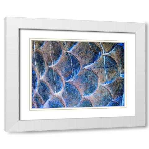 Wooden Scales II White Modern Wood Framed Art Print with Double Matting by Grayscale