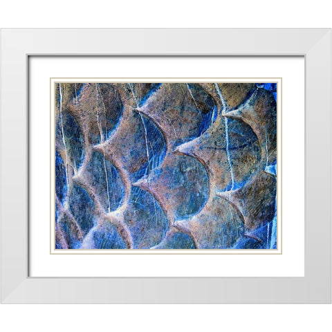 Wooden Scales II White Modern Wood Framed Art Print with Double Matting by Grayscale