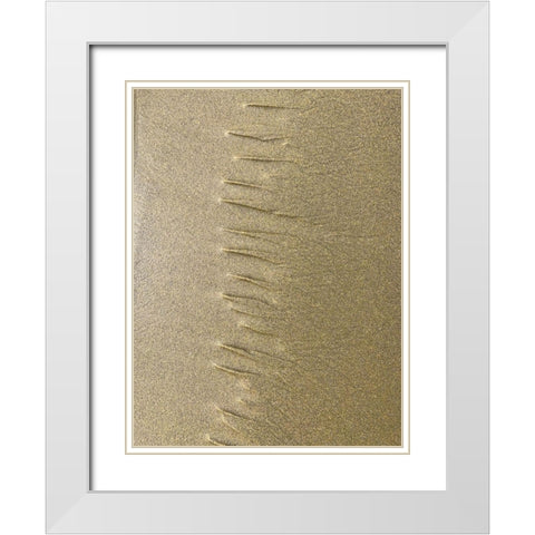 Sand Stripe III White Modern Wood Framed Art Print with Double Matting by Grayscale