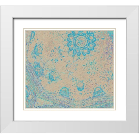 San Xavier Dome II White Modern Wood Framed Art Print with Double Matting by Popcorn