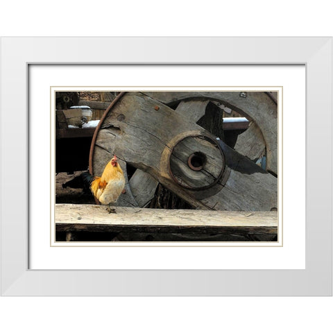 Cock of the Walk White Modern Wood Framed Art Print with Double Matting by Popcorn