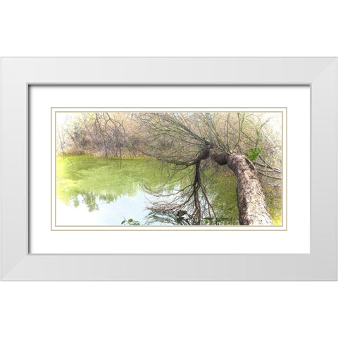 Pair of Mallards on Water White Modern Wood Framed Art Print with Double Matting by Tenoever, William