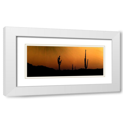 CopperSkies White Modern Wood Framed Art Print with Double Matting by Tenoever, William