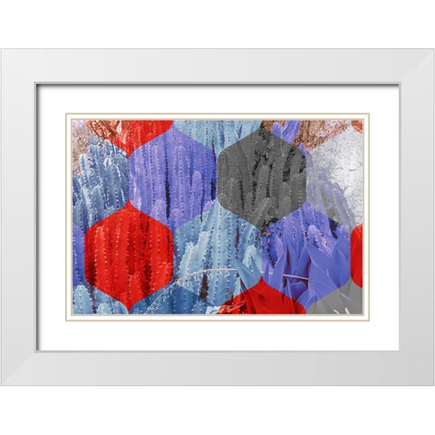 Hexaflora3 White Modern Wood Framed Art Print with Double Matting by Tenoever, William