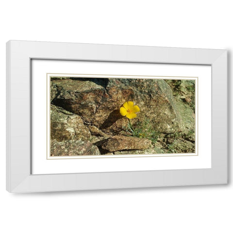 Poppies I White Modern Wood Framed Art Print with Double Matting by Popcorn