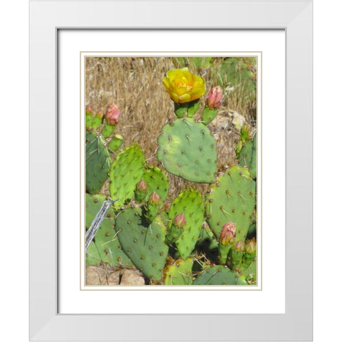 Prickly Pear II White Modern Wood Framed Art Print with Double Matting by Popcorn