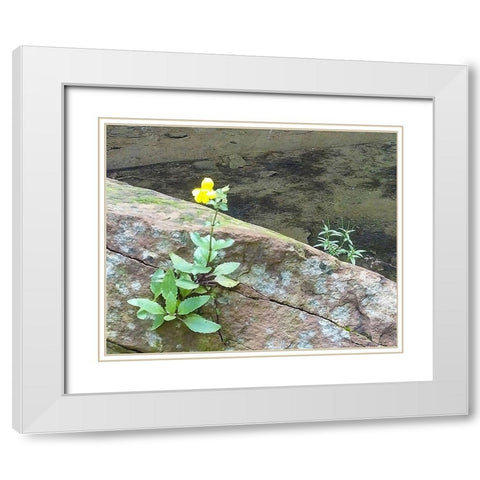 Riparian I White Modern Wood Framed Art Print with Double Matting by Popcorn