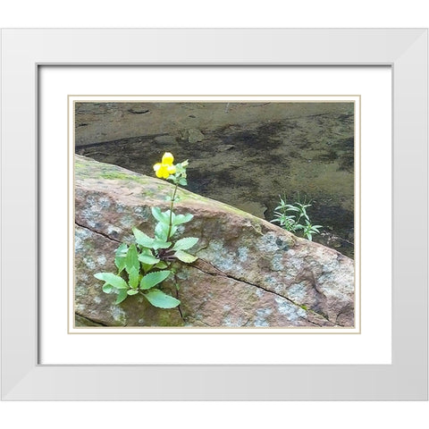 Riparian I White Modern Wood Framed Art Print with Double Matting by Popcorn