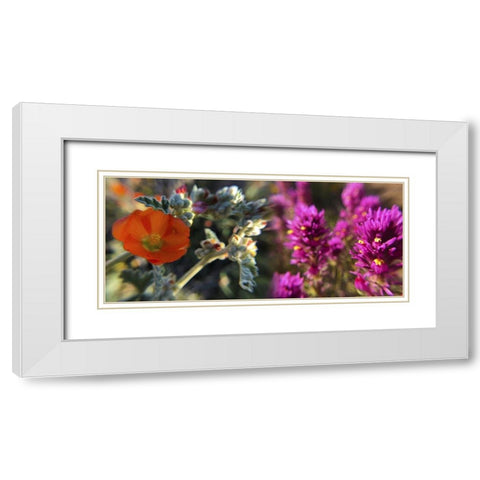 Wildflowers XIII, Collage White Modern Wood Framed Art Print with Double Matting by Popcorn
